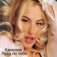 Ты поселилась у душі